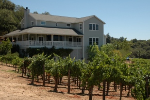 View from Arrowood Vineyard to Visitors Center